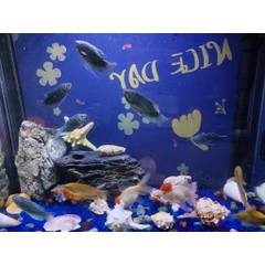 Sỏi Xanh Mini | Sỏi cát thủy tinh mini trang trí bể cá, chậu cây, tiểu cảnh terrarium (Hàng Loại 1)