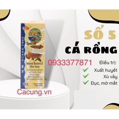 Chai Số 5 cá rồng - Xử lý lở loét, Mờ mắt, Xù Vảy cho cá cảnh (Hàng Công Ty)