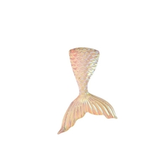 Tiểu Cảnh Charm ĐUÔI CÁ Trang Trí Hồ Cá, Bể Cá, Chậu Cây, Tiểu Cảnh Terrarium (Hàng Công Ty)