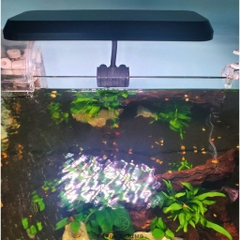 Đèn Led Kẹp RGB DEYAO CF-02 - Đèn Đỏ Cá Không Đỏ Nước Cho Bể Cá Cảnh, Bể Thủy Sinh (Hàng Công Ty)