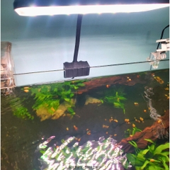 Đèn Led Kẹp RGB DEYAO CF-02 - Đèn Đỏ Cá Không Đỏ Nước Cho Bể Cá Cảnh, Bể Thủy Sinh (Hàng Công Ty)