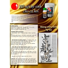 Kick Out Parasites 100ml - Hỗ trợ xử lý sán, giun, nội ký sinh an toàn cho cá Koi cá cảnh (Hàng Cty)