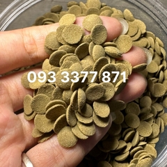 Thức Ăn Cá Chuột, Pleco, Cá Tầng Đáy Chuyên Dụng - Cám Hạt Chìm Cá Khoẻ, Háu Ăn (Hàng Công Ty)