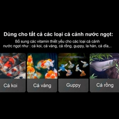 Extra Vitamin C++ Siêu tăng đề kháng cho cá khỏe, giảm stress, khử tím, tẩy drum hồ koi (Hàng Cty)