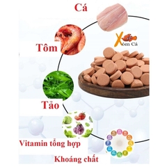 Thức ăn cám dán kính bể cho cá cảnh thuỷ sinh, 7 màu - Viên cám dán kính hồ cá (Hàng Công Ty)