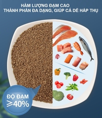 Thức ăn cá BESSN GrainFish | Cám cá 7 màu | Cám cá Betta | Cám cá nhỏ giàu dinh dưỡng (Hàng Cty)
