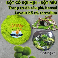 Bột Rêu Mịn, Bột Cỏ nhân tạo - Trang trí tiểu cảnh đá rêu giả, terrarium, layout hồ cá (Hàng Loại 1)