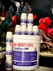 PondClear PRO (Hộp 100g) - Vi Sinh Dị Dưỡng Làm Trong Nước, Phân Hủy Thức Ăn Thừa (Hàng Cty)