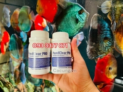 PondClear PRO (Hộp 100g) - Vi Sinh Dị Dưỡng Làm Trong Nước, Phân Hủy Thức Ăn Thừa (Hàng Cty)