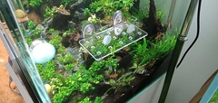 Giá Đỡ Cây Thủy Sinh Mica - Vỉ Acrylic Trồng Cây Thủy Sinh - Tấm Nâng Acrylic | Giá Thể Ươm Cây