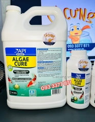 API ALGAE CURE POND - Vi Sinh phân huỷ phân cá, tảo, làm trong nước, giảm bụi cực nhanh (HÀNG CTY)