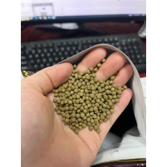 Cám Mega Jumbo Chép Phi Tần & Phượng Vũ | Hạt nổi - hỗ trợ tăng màu sắc, sáng da, dài vây (Hàng Cty)