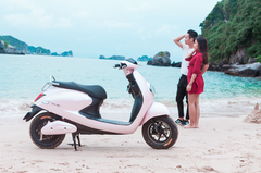 XE MÁY ĐIỆN DIBAO BUTTERFLY