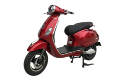 XE MÁY ĐIỆN DIBAO PANSY S