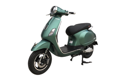 XE MÁY ĐIỆN DIBAO PANSY S