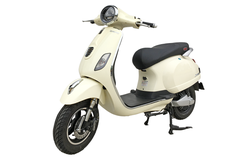 XE MÁY ĐIỆN DIBAO PANSY S