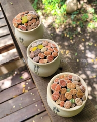 Sen Thạch Lan Lithops