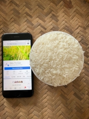 Lài Sữa túi 5kg