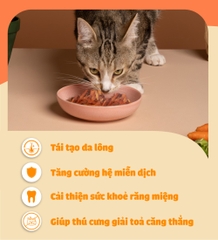 Ức gà sấy cho mèo