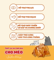 Thịt gà & Phô mai cho mèo