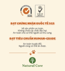 Thịt gà & Phô mai cho mèo