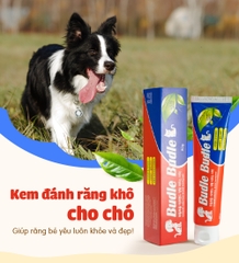 Kem đánh răng khô cho chó Budle'Budle