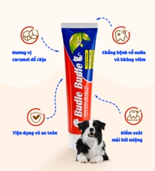 Kem đánh răng khô cho chó Budle'Budle