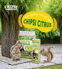 Lót chuồng cho thú nhỏ Chipsi Citrus