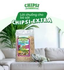 Lót chuồng cho bò sát Chipsi Extra