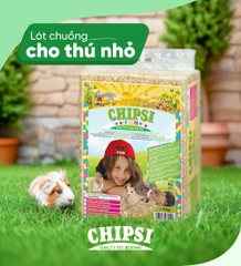 Lót chuồng cho thú nhỏ Chipsi Fun