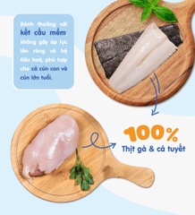 Gà hấp cá tuyết