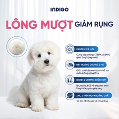 Thức ăn dinh dưỡng chức năng cho chó tăng cường sức khỏe da và tiêu hóa