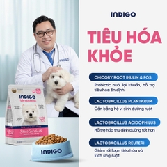 Thức ăn dinh dưỡng chức năng cho chó tăng cường sức khỏe da và tiêu hóa