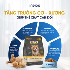 Thức ăn dinh dưỡng chức năng cho mèo con tăng cường sức khỏe tiêu hóa