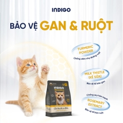 Thức ăn dinh dưỡng chức năng cho mèo con tăng cường sức khỏe tiêu hóa