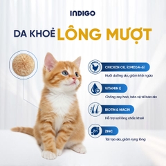 Thức ăn dinh dưỡng chức năng cho mèo con tăng cường sức khỏe tiêu hóa