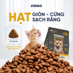 Thức ăn dinh dưỡng chức năng cho mèo con tăng cường sức khỏe tiêu hóa