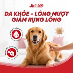 Thức ăn JirehO Thịt vịt cho chó