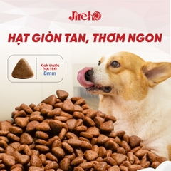 Thức ăn JirehO Thịt vịt cho chó