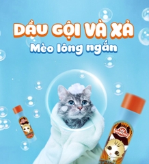 Dầu gội và xả mèo lông ngắn Lee&Webster