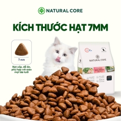 Thức ăn đa đạm cho mèo ECO C1