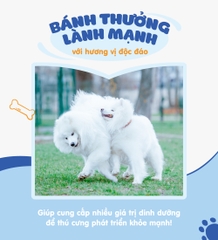 Gà hấp cá tuyết