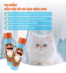 Dầu gội và xả mèo con Lee&Webster