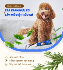 Kem đánh răng cho chó Budle'Budle