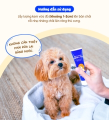 Kem đánh răng cho chó Budle'Budle