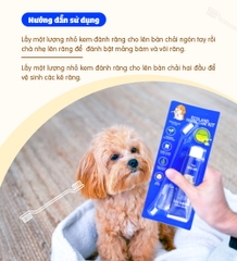 Bộ chăm sóc răng cho chó Budle'Budle
