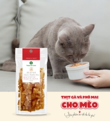 Thịt gà & Phô mai cho mèo