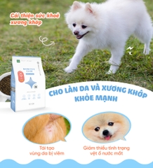 Thức ăn cho chó bị dị ứng (Mealworm)