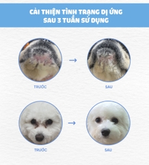 Thức ăn cho chó bị dị ứng (Mealworm)