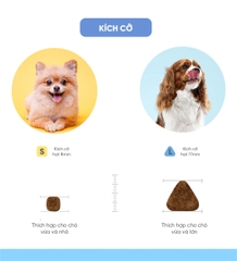 Thức ăn cho chó bị dị ứng (Mealworm)